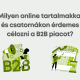 Milyen online tartalmakkal és csatornákon érdemes célozni a B2B piacot