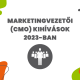 Hogyan hatnak a 2023-as digitális marketingtrendek a vállalkozásodra